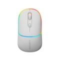 CANYON mouse MW-22 2in1 BT/ Wireless Snow White CNS-CMSW22SW