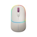 CANYON mouse MW-22 2in1 BT/ Wireless Rice CNS-CMSW22RC