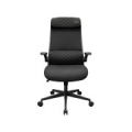 COUGAR Stryder Gaming Chair CGR-STD-BLB