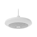 LOGITECH Mic Pod Pendant Mount - OFF-WHITE - EMEA29-953 952-000123