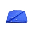 AWTOOLS AW68021 tarpaulin