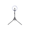 LED Ring Lamp 34.5cm with Tripod Stand up to 1.85m, Mirror, Phone Clamp, USB