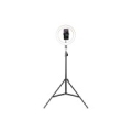 Tripod Havit ST7012 Pro with light ring