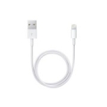 Apple Lightning to USB Cable (0.5 m)