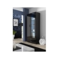 Cama display cabinet SOHO S6 2D2S black/black gloss