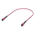 Ubiquiti UACC-OFC-MA-MPMP-0.5M-10 InfiniBand/fibre optic cable MPO-12 Rose
