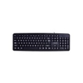 Esperanza EK129 keyboard USB QWERTY UK English Black