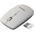Esperanza EM120W mouse RF Wireless Optical 2400 DPI