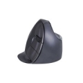 BakkerElkhuizen Evoluent D Medium Wireless