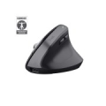 Trust Bayo+ mouse Office Right-hand RF Wireless + Bluetooth Optical 2400 DPI