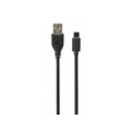 CABLE USB-C TO USB2 1M/CCP-USB2-AMCM-1M GEMBIRD