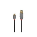 CABLE USB2 C-A 3M/ANTHRA 36888 LINDY