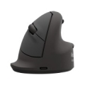 MOUSE USB OPTICAL WRL VERTICAL/ERGO+ L RT 100143582 FELLOWES