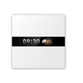 SMART HOME DISPLAY SWITCH V1/WS-K02D AQARA