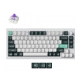 KEYBOARD WRL Q1 HE RGB/SHELL WHITE Q1H-P1 KEYCHRON