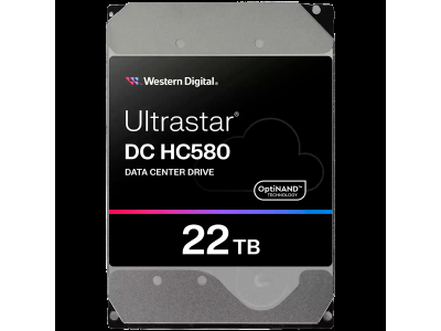 HDD Server WD/HGST Ultrastar 22TB DC