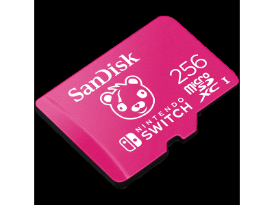 SANDISK Nintendo MicroSD UHS I Card
