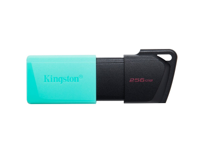 Kingston 256GB USB3.2 Gen1 DataTraveler