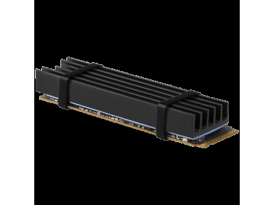 AXAGON CLR-M2L10 passive - M.2