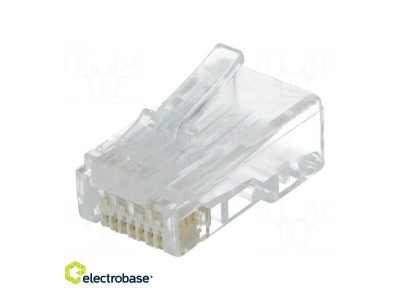 Spraudnis | RJ45 | PIN:8 |