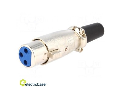 Spraudnis | XLR | Female |
