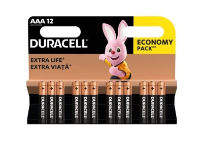 Duracell MN 2400 Basic AAA (LR03)