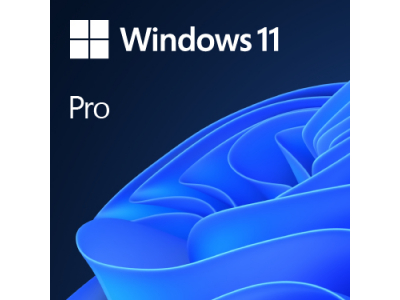 MICROSOFT Win 11 Pro 64Bit Eng