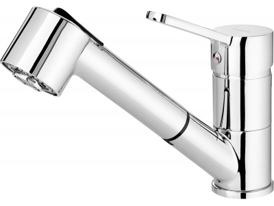 Kitchen faucet with pull-out spout -