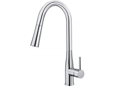 Kitchen faucet with pull-out spout -