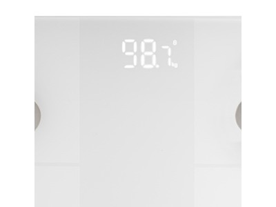 Electronic bathroom scale Adler AD 8186