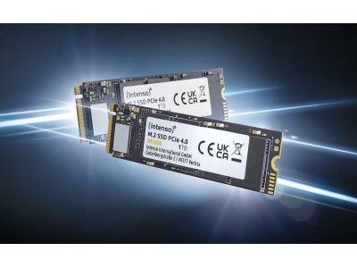 Intenso MI500 500 GB M.2