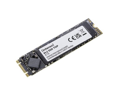 Intenso Top 1 TB M.2