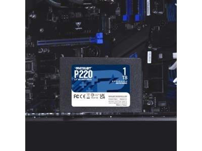 Patriot Memory P220 1TB 2.5&quot
