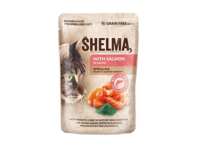 SHELMA with salmon in sauce -