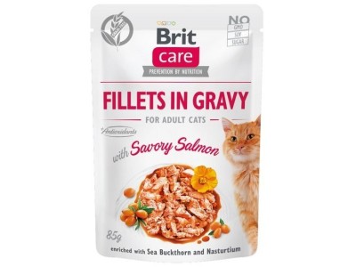BRIT Care Fillets in Gravy salmon