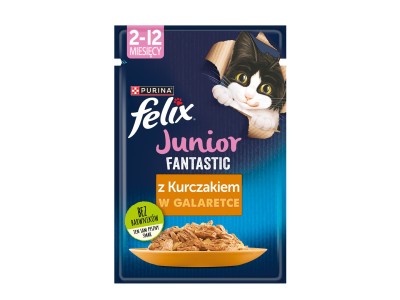 Felix Fanstastic Junior - wet cat