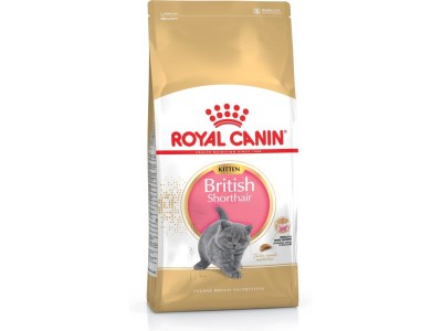 Royal Canin British Shorthair Kitten cats