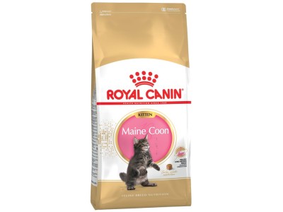 ROYAL CANIN Maine Coon Kitten -