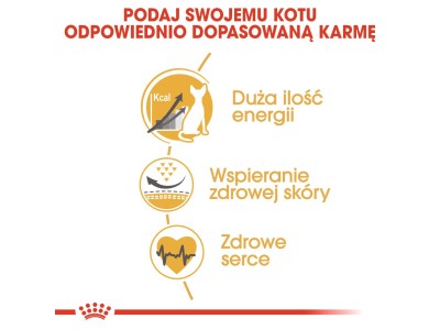 Royal Canin Sphynx dry cat food