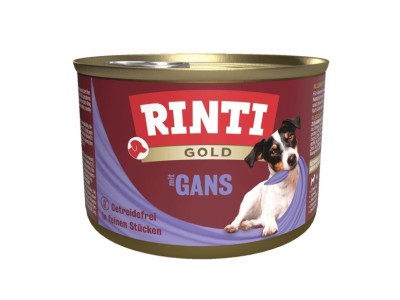 RINTI Gold Goose - wet dog