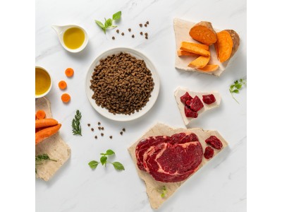VETEXPERT Raw Paleo Ultra Mini Puppy