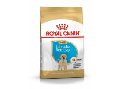 ROYAL CANIN SHN Breed Labrador Junior