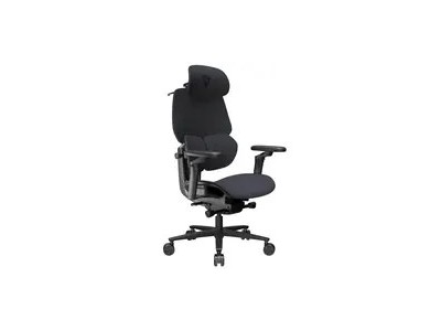 Gaming Chair ThunderX3 FLEX Pro -
