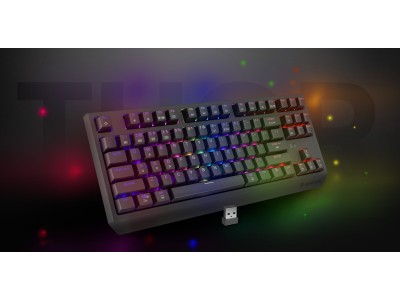 GENESIS Thor 230 TKL Wireless Outemu