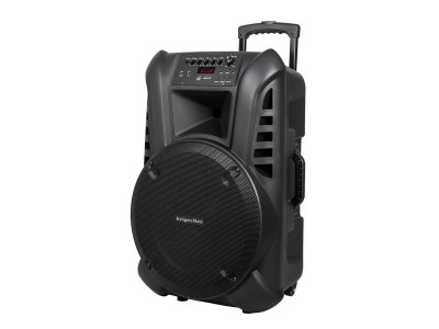 Active Speaker Cabinet (with 2 wireless