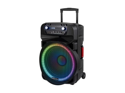 Active Speaker Cabinet (with 2 UHF