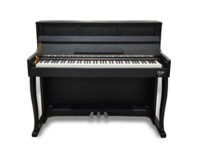 V-TONE PLF-256 BK pianino cyfrowe stacjonarne