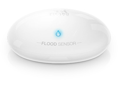 Fibaro FGFS-101-ZW5 temperature/humidity sensor Indoor/outdoor Temperature