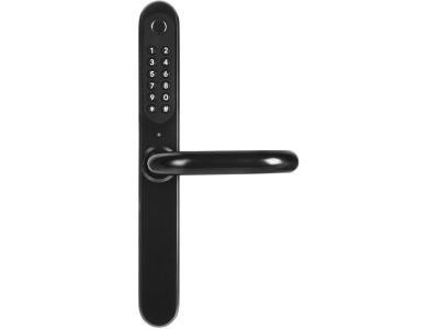 Handle with Access Control EURA ELH-30H4