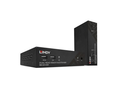 Lindy 100m Cat.6 Dual Head